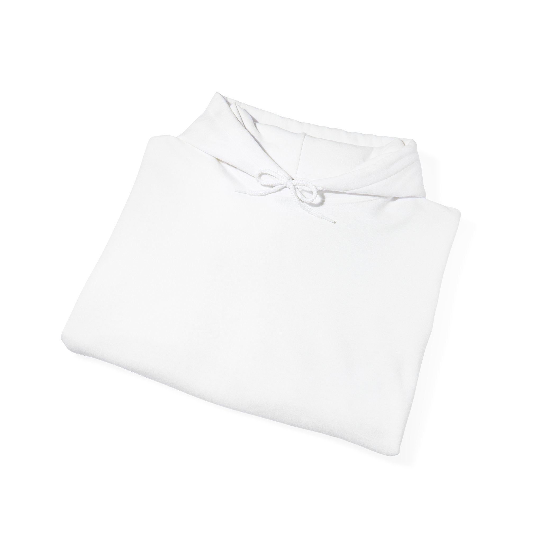 Dove Flight Hoodie — Minimal Black Bird Illustration Pullover | Premium Streetwear